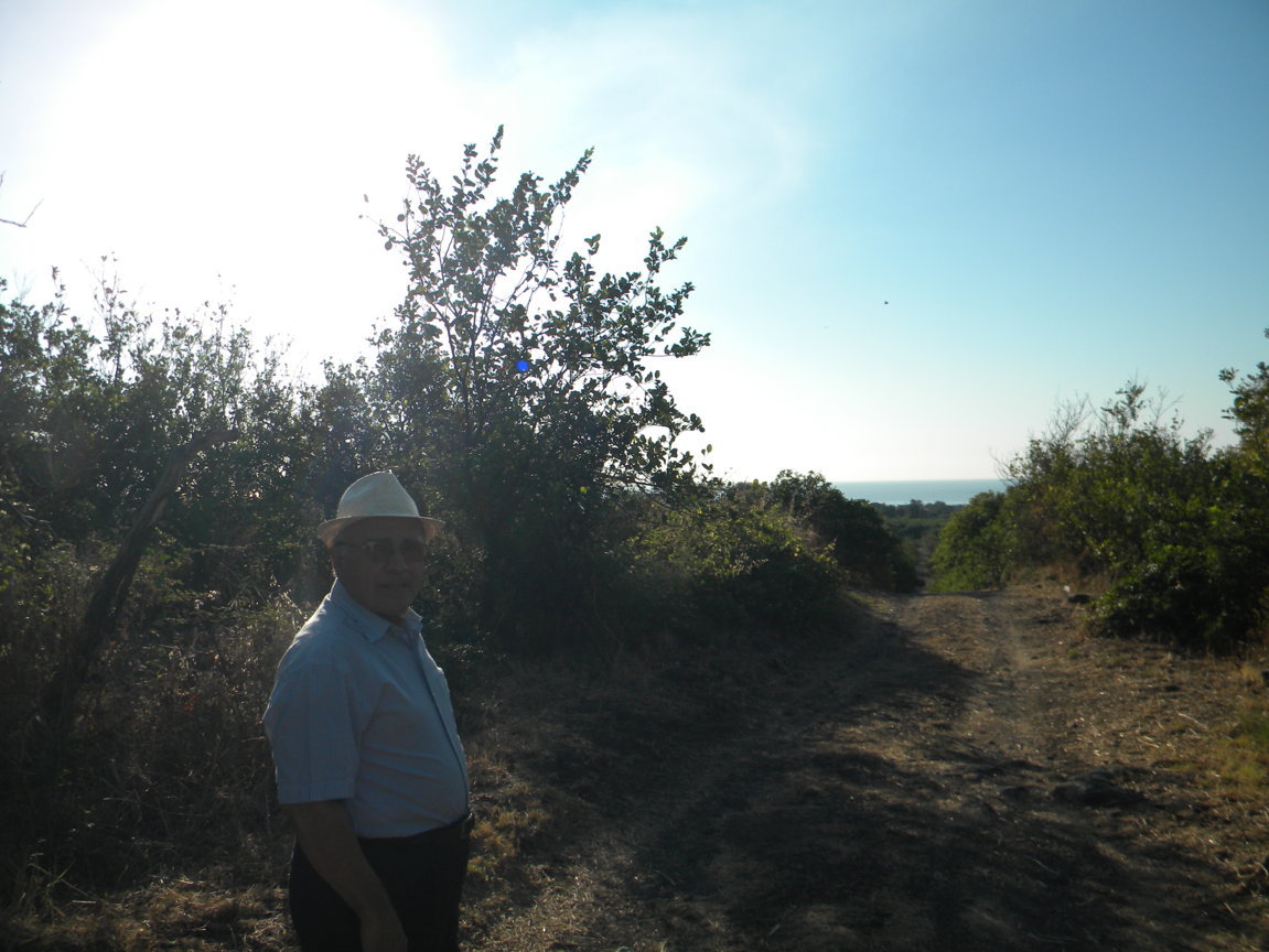 DSCN7978 .JPG